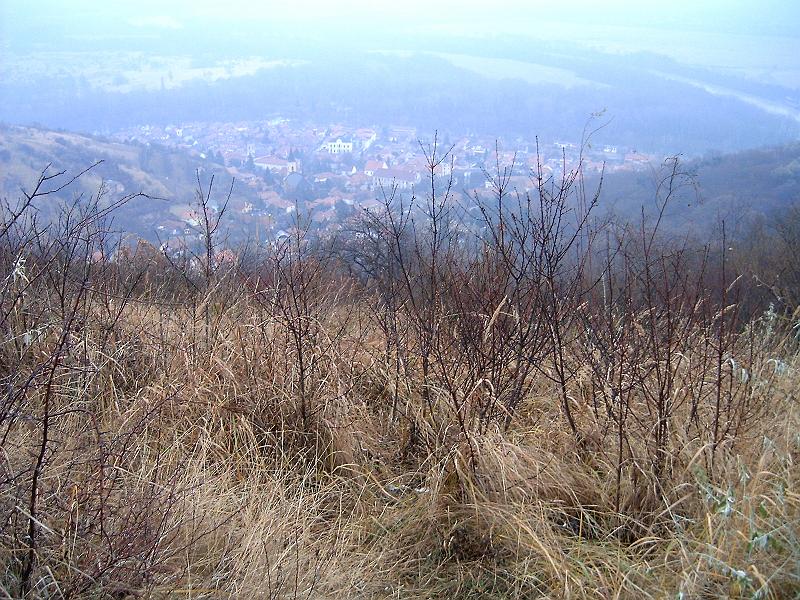 20111210 094.jpg